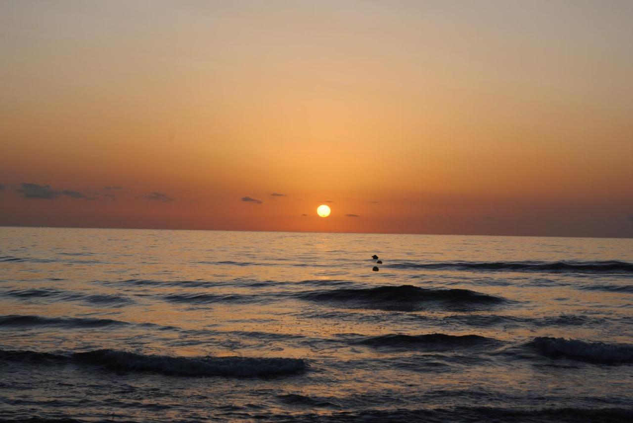 Gandia Playa-Apartamento Gandiazar 2 - Vt- 49300-V Playa de Gandia Zewnętrze zdjęcie